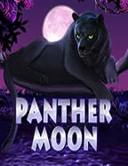 ลองเล่น Leprechaun Riches PG เกมสนุกสุดมันส์